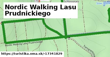 Nordic Walking Lasu Prudnickiego