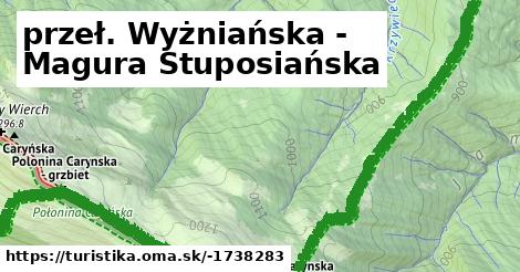 przeł. Wyżniańska - Magura Stuposiańska