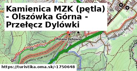 Kamienica MZK (pętla) - Olszówka Górna - Przełęcz Dylówki