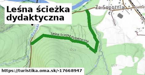 Leśna ścieżka dydaktyczna