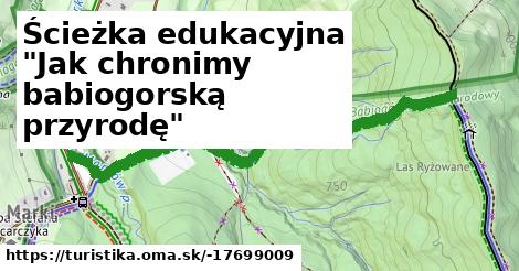 Ścieżka edukacyjna "Jak chronimy babiogorską przyrodę"