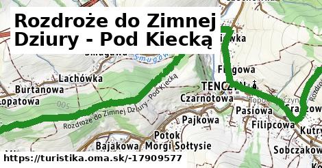 Rozdroże do Zimnej Dziury - Pod Kiecką