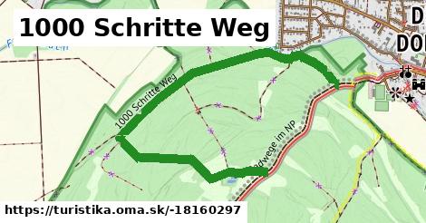 1000 Schritte Weg