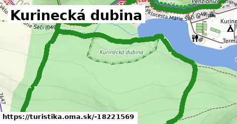 Kurinecká dubina