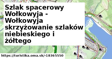 Szlak spacerowy Wołkowyja - Wołkowyja skrzyżowanie szlaków niebieskiego i żółtego