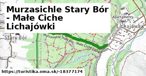 Murzasichle Stary Bór - Małe Ciche Lichajówki