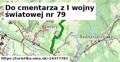 Do cmentarza z I wojny światowej nr 79