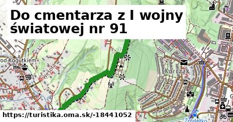 Do cmentarza z I wojny światowej nr 91