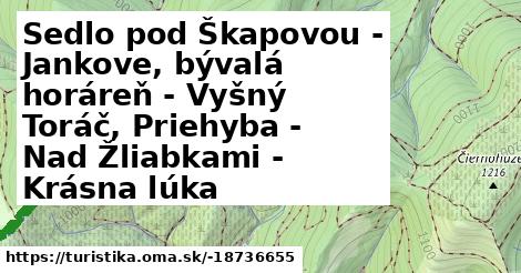 Sedlo pod Škapovou - Jankove, bývalá horáreň - Vyšný Toráč, Priehyba - Nad Žliabkami - Krásna lúka