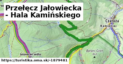 Przełęcz Jałowiecka - Hala Kamińskiego