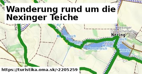 Wanderung rund um die Nexinger Teiche