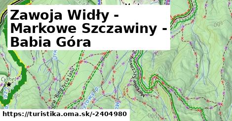 Zawoja Widły - Markowe Szczawiny - Babia Góra