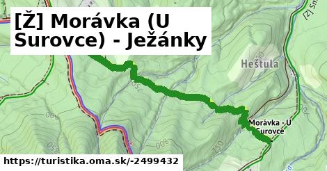 [Ž] Morávka (U Surovce) - Ježánky
