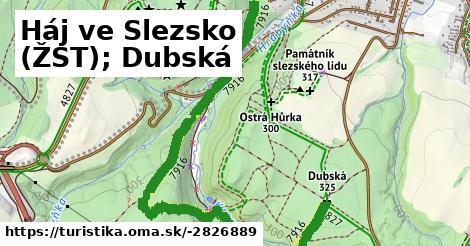 Háj ve Slezsko (ŽST); Dubská