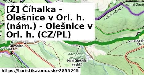 [Ž] Číhalka - Olešnice v Orl. h. (nám.) - Olešnice v Orl. h. (CZ/PL)