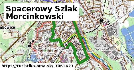 Spacerowy Szlak Morcinkowski