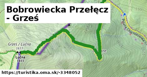 Bobrowiecka Przełęcz - Grześ