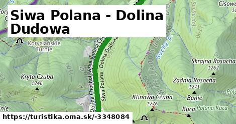 Siwa Polana - Dolina Dudowa