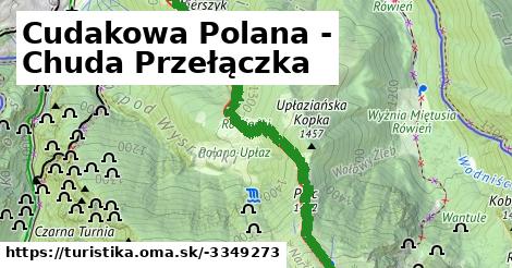 Cudakowa Polana - Chuda Przełączka