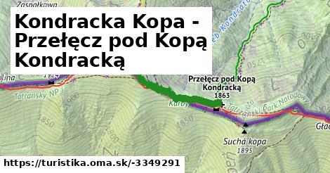 Kondracka Kopa - Przełęcz pod Kopą Kondracką