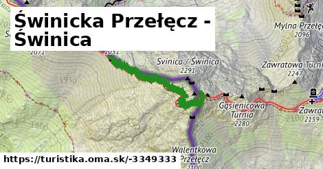 Świnicka Przełęcz - Świnica