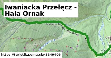 Iwaniacka Przełęcz - Hala Ornak