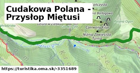 Cudakowa Polana - Przysłop Miętusi