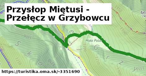 Przysłop Miętusi - Przełęcz w Grzybowcu