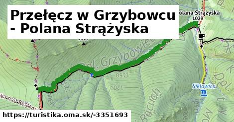 Przełęcz w Grzybowcu - Polana Strążyska