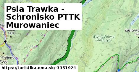 Psia Trawka - Schronisko PTTK Murowaniec