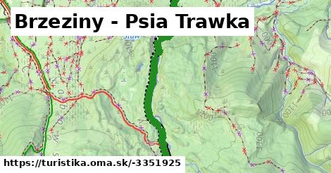 Brzeziny - Psia Trawka