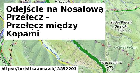 Odejście na Nosalową Przełęcz - Przełęcz między Kopami