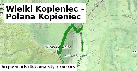 Wielki Kopieniec - Polana Kopieniec