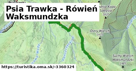 Psia Trawka - Rówień Waksmundzka