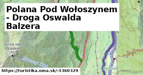 Polana Pod Wołoszynem - Droga Oswalda Balzera