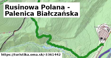 Rusinowa Polana - Palenica Białczańska