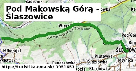 Pod Makowską Górą - Ślaszowice