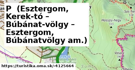 P+ (Esztergom, Kerek-tó – Búbánat-völgy – Esztergom, Búbánatvölgy am.)