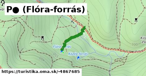 P● (Flóra-forrás)