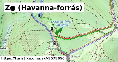 Z● (Havanna-forrás)