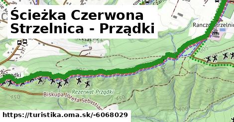 Ścieżka Czerwona Strzelnica - Prządki