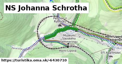 NS Johanna Schrotha