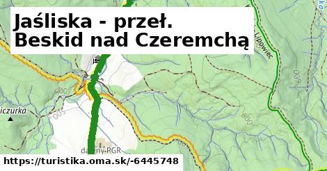 Jaśliska - przeł. Beskid nad Czeremchą