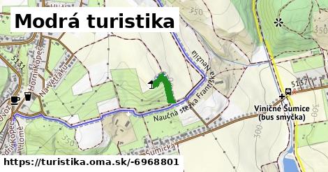 Modrá turistika