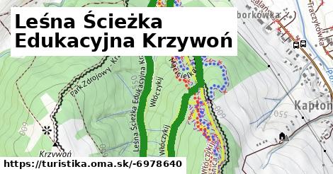 Leśna Ścieżka Edukacyjna Krzywoń