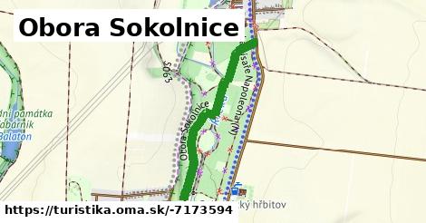 Obora Sokolnice