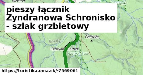 pieszy łącznik Zyndranowa Schronisko - szlak grzbietowy