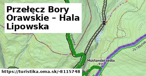 Przełęcz Bory Orawskie – Hala Lipowska