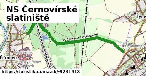 NS Černovírské slatiniště