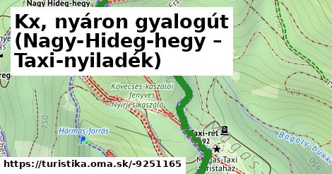 Kx, nyáron gyalogút (Nagy-Hideg-hegy – Taxi-nyiladék)